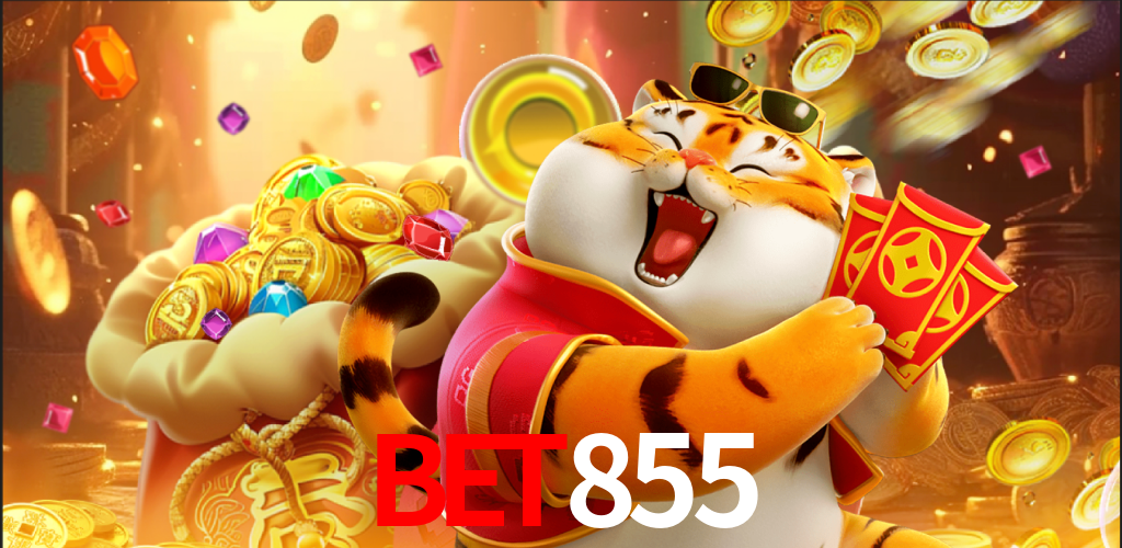 Programa VIP bet855