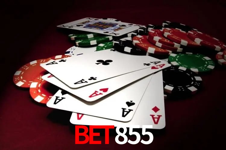 Casino VIP bet855